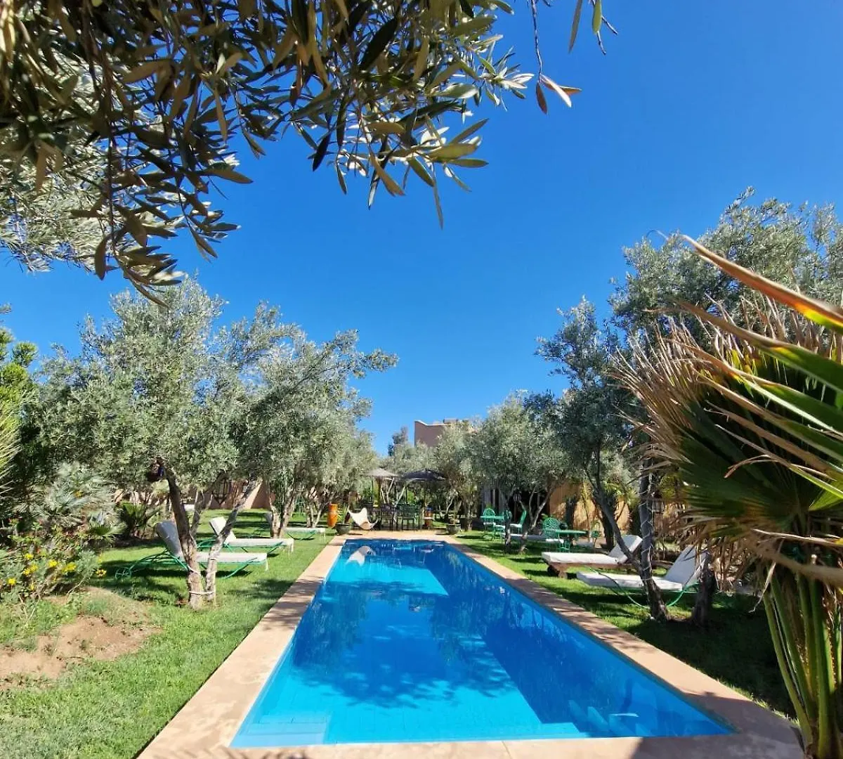Manzal Lahbab, 2Villas 2Bungalows 2Piscines Et Jardins Ouled Jelal 0*,